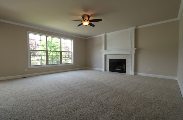 12818 Skyline Dr, Plainfield, IL 60585 photo 5