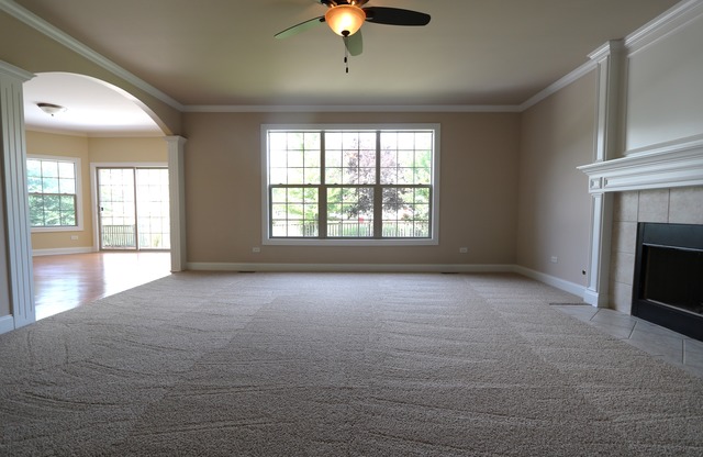 12818 Skyline Dr, Plainfield, IL 60585 photo 4