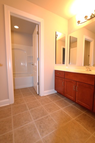12818 Skyline Dr, Plainfield, IL 60585 photo 14