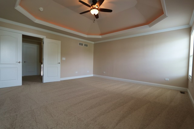12818 Skyline Dr, Plainfield, IL 60585 photo 9