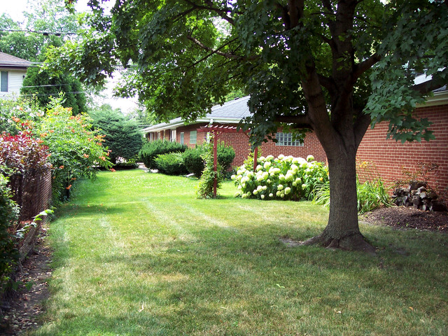 814 S Prospect Ave, Elmhurst, IL 60126 photo 22