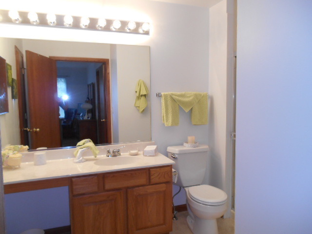 21348 Silktree Cir, Plainfield, IL 60544 photo 14
