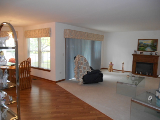 21348 Silktree Cir, Plainfield, IL 60544 photo 4