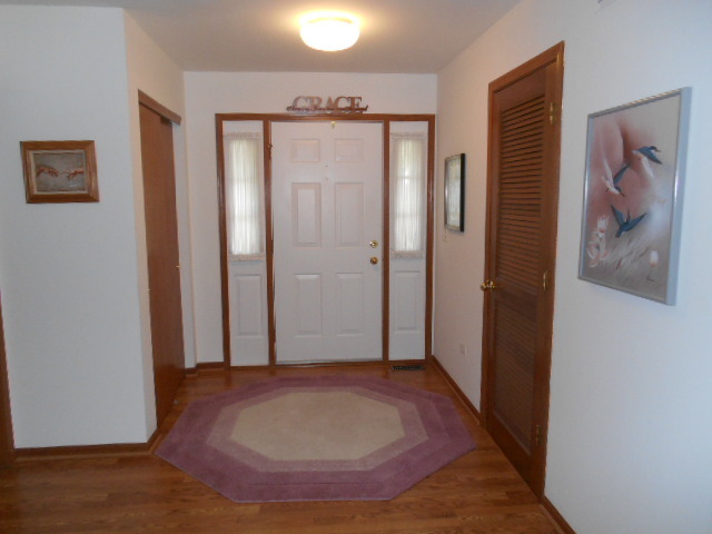 21348 Silktree Cir, Plainfield, IL 60544 photo 2