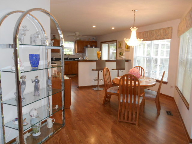 21348 Silktree Cir, Plainfield, IL 60544 photo 5