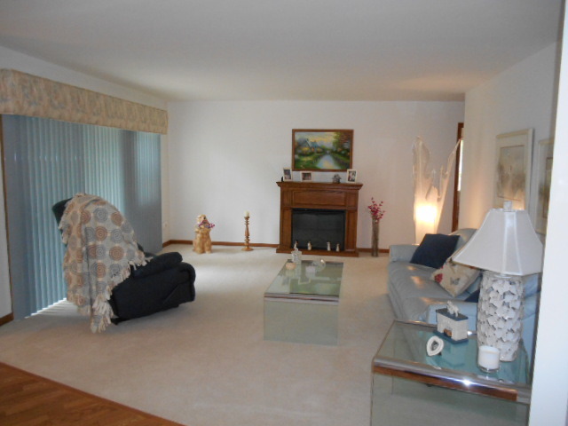 21348 Silktree Cir, Plainfield, IL 60544 photo 3