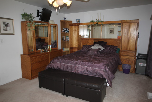 1706 W Stone Ave, Addison, IL 60101 photo 9
