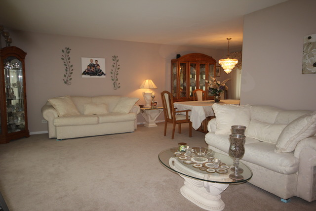 1706 W Stone Ave, Addison, IL 60101 photo 4