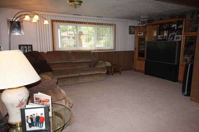 1706 W Stone Ave, Addison, IL 60101 photo 17