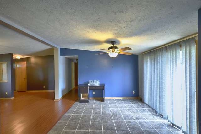 640 W Eureka St, Braidwood, IL 60408 photo 9