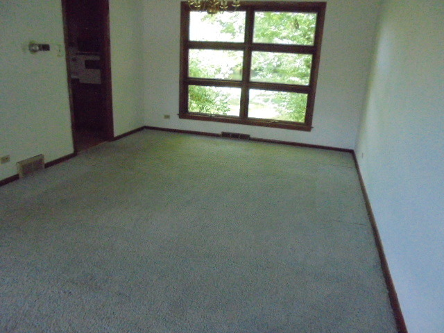 20616 Arcadian Dr, Olympia Fields, IL 60461 photo 3