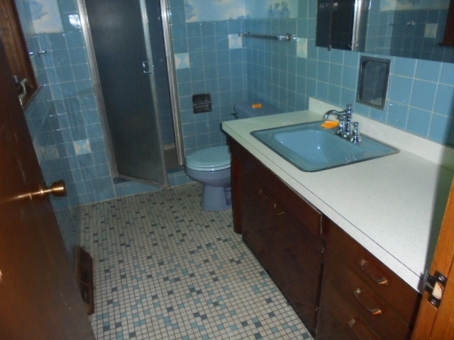 20616 Arcadian Dr, Olympia Fields, IL 60461 photo 9