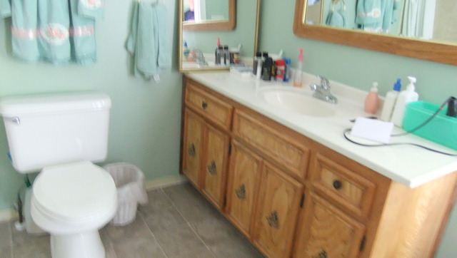 3102 Ruby St, Franklin Park, IL 60131 photo 13
