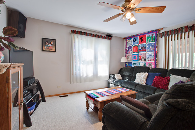 985 Colony Ln, Hoffman Estates, IL 60192 photo 14