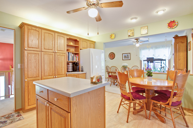 985 Colony Ln, Hoffman Estates, IL 60192 photo 11