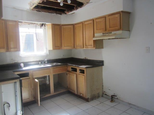 1117 E 82nd St, Chicago, IL 60619 photo 8