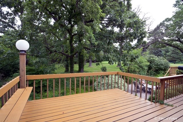1132 Forest Dr, Elgin, IL 60123 photo 25