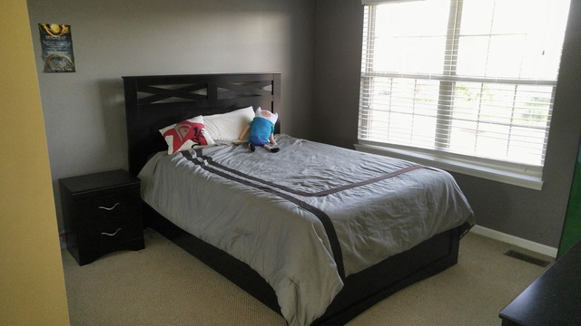 16507 Hidden River Cir, Plainfield, IL 60586 photo 8