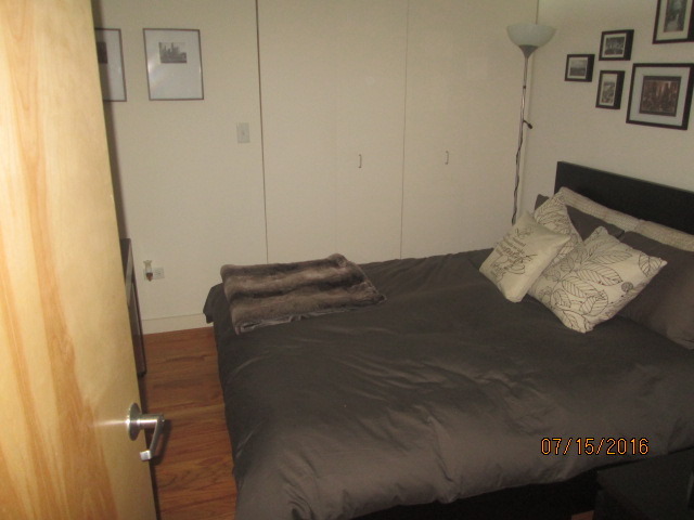 1720 S Michigan Ave #2003, Chicago, IL 60616 photo 8