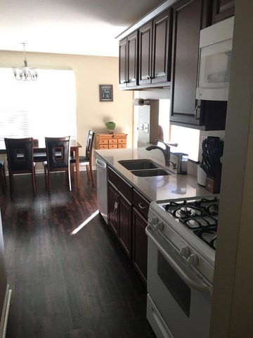 1981 Castle Pines Cir, Elgin, IL 60123 photo 8