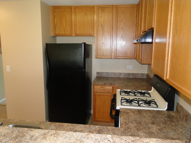 605 Briarcliff Dr, Minooka, IL 60447 photo 9