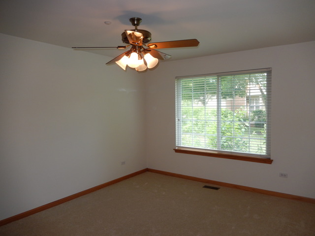 1635 Colfax Ct #4, Bartlett, IL 60103 photo 10