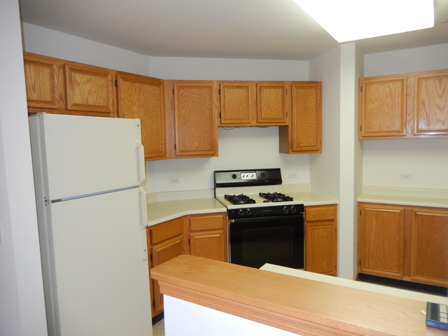 1635 Colfax Ct #4, Bartlett, IL 60103 photo 6