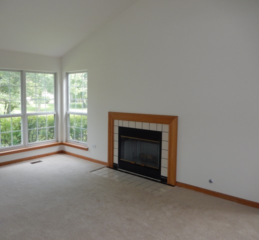 1635 Colfax Ct #4, Bartlett, IL 60103 photo 4