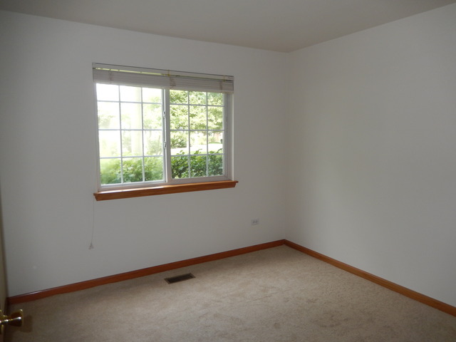 1635 Colfax Ct #4, Bartlett, IL 60103 photo 11