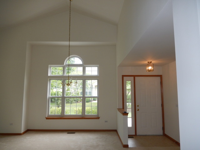 1635 Colfax Ct #4, Bartlett, IL 60103 photo 2
