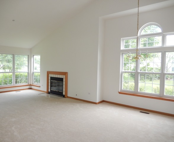 1635 Colfax Ct #4, Bartlett, IL 60103 photo 5