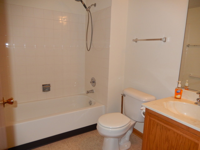 1635 Colfax Ct #4, Bartlett, IL 60103 photo 15