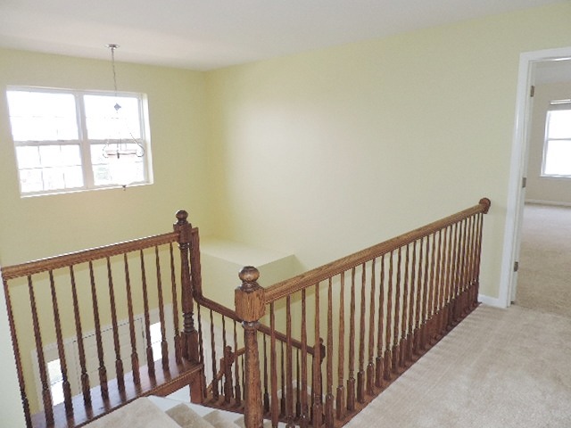 169 Hearthstone Dr, Bartlett, IL 60103 photo 9