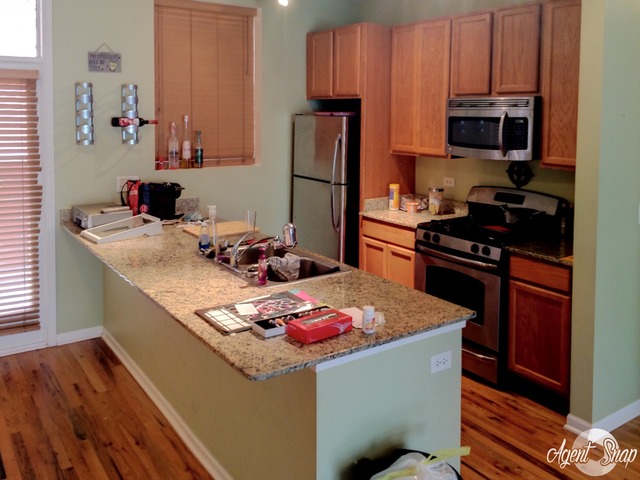 327 E 25th St #2W, Chicago, IL 60616 photo 3