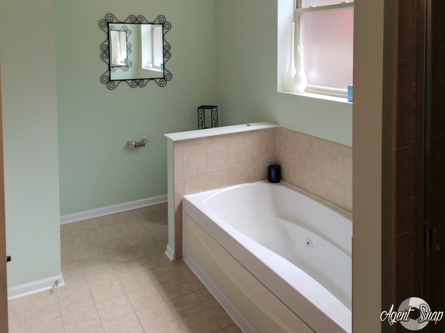 327 E 25th St #2W, Chicago, IL 60616 photo 7