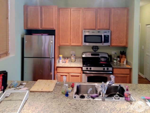 327 E 25th St #2W, Chicago, IL 60616 photo 4