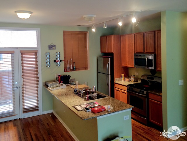 327 E 25th St #2W, Chicago, IL 60616 photo 5