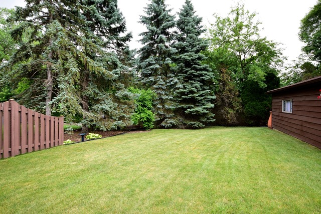 331 E Cayuga Ave, Elmhurst, IL 60126 photo 23