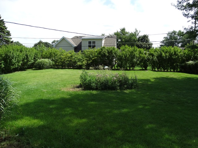 921 E 1st St, Lockport, IL 60441 photo 13
