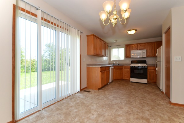 305 Aster Dr, Minooka, IL 60447 photo 9