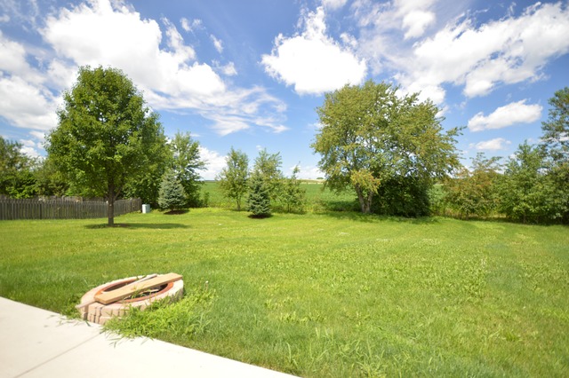 305 Aster Dr, Minooka, IL 60447 photo 24