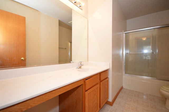 305 Aster Dr, Minooka, IL 60447 photo 19
