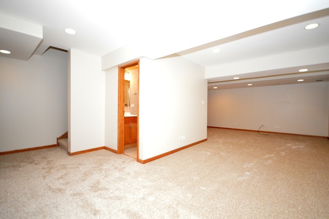 305 Aster Dr, Minooka, IL 60447 photo 21