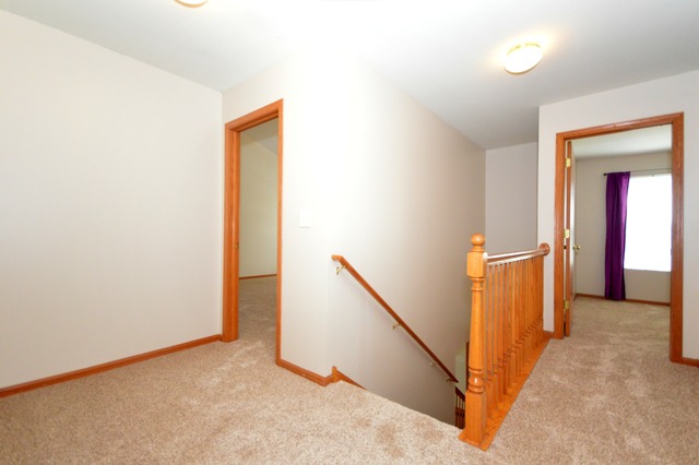 305 Aster Dr, Minooka, IL 60447 photo 16