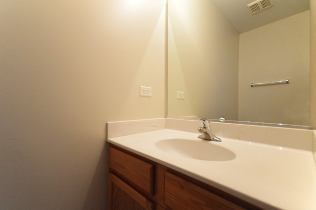 305 Aster Dr, Minooka, IL 60447 photo 11