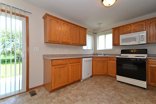 305 Aster Dr, Minooka, IL 60447 photo 8