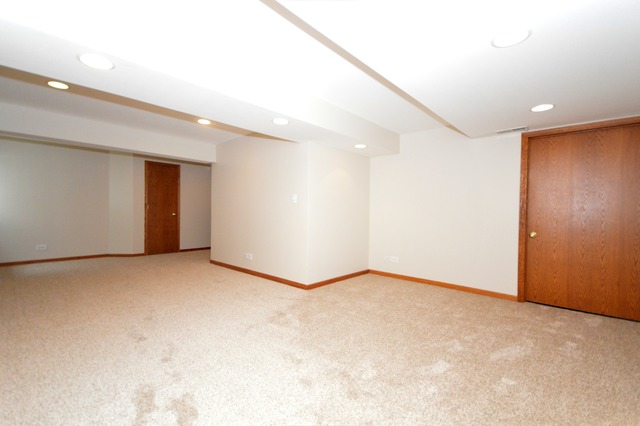 305 Aster Dr, Minooka, IL 60447 photo 20