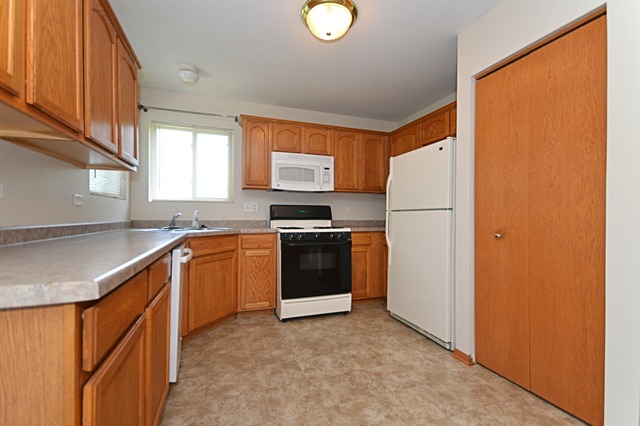 305 Aster Dr, Minooka, IL 60447 photo 7