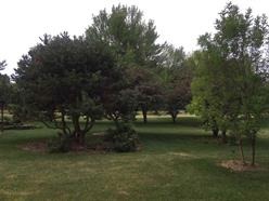 11232 Bayberry Dr, Roscoe, IL 61073 photo 23