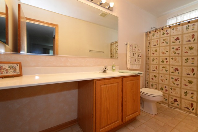 6987 Sierra Ct, Plainfield, IL 60586 photo 13
